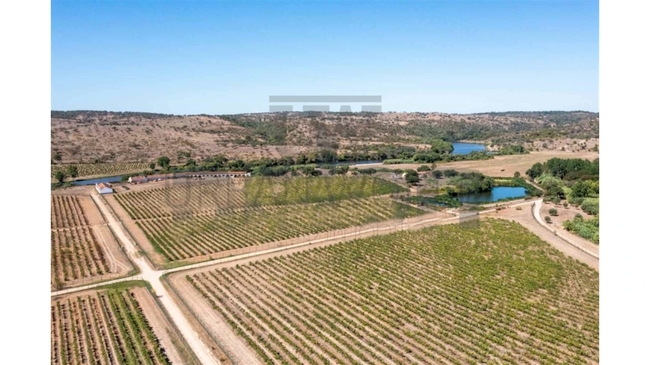 Quinta para Venda em Cabeção Foto 9