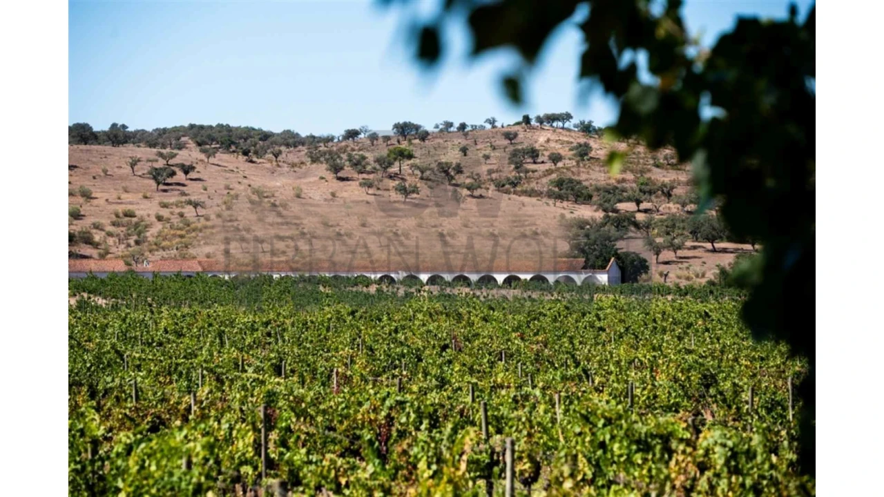 Quinta para Venda em Cabeção Foto 10