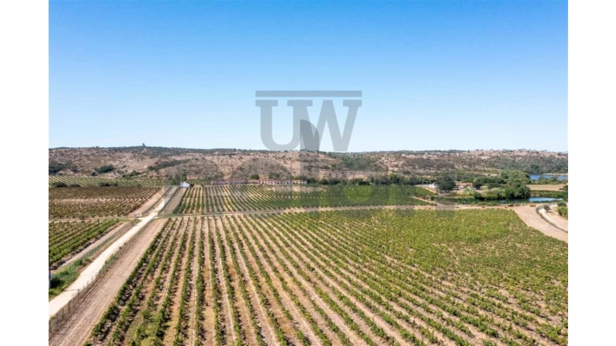 Quinta para Venda em Cabeção Foto 2