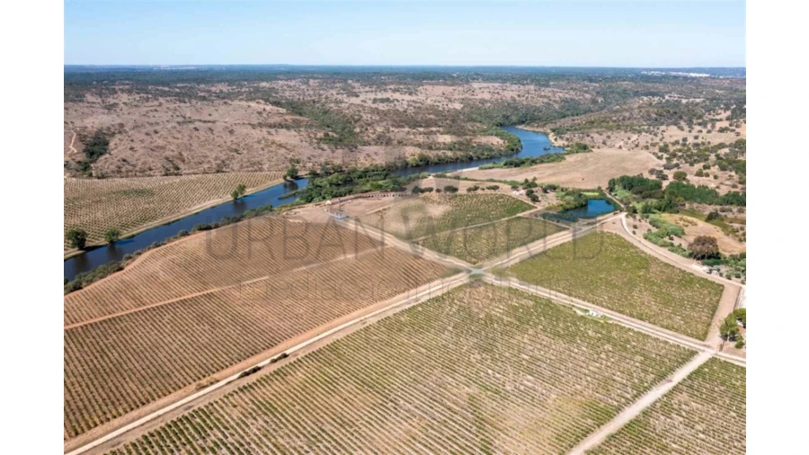 Quinta para Venda em Cabeção Foto 7