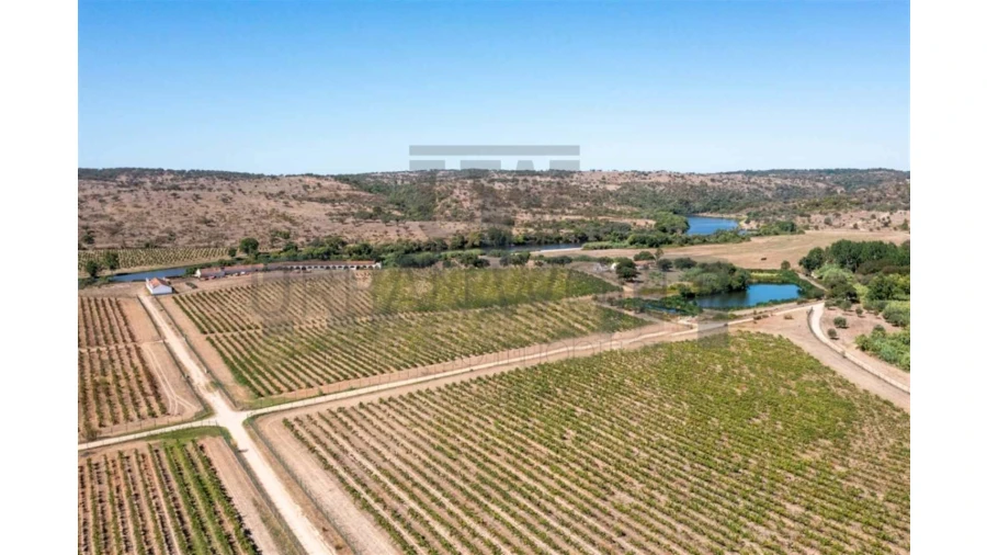Quinta para Venda em Cabeção Foto 9