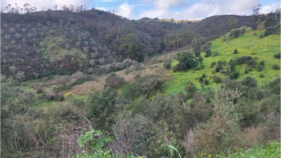Quinta T3 para Venda em São Silvestre Foto 16