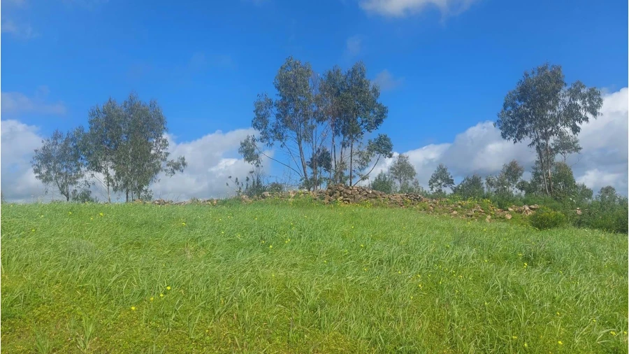 Quinta T3 para Venda em São Silvestre Foto 7