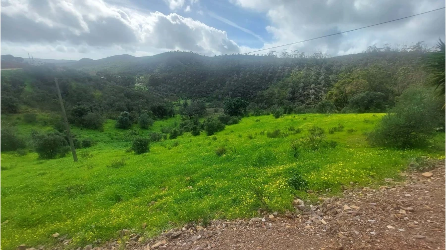Quinta T3 para Venda em São Silvestre Foto 12