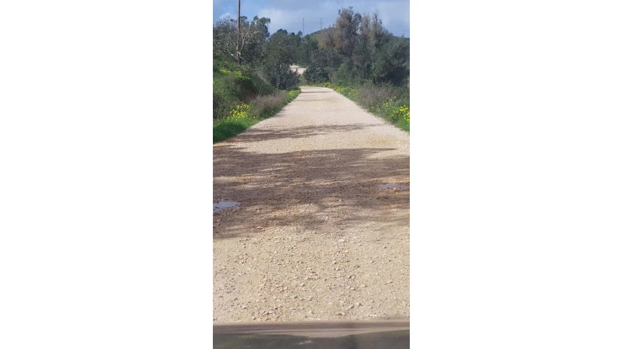 Quinta T3 para Venda em São Silvestre Foto 15