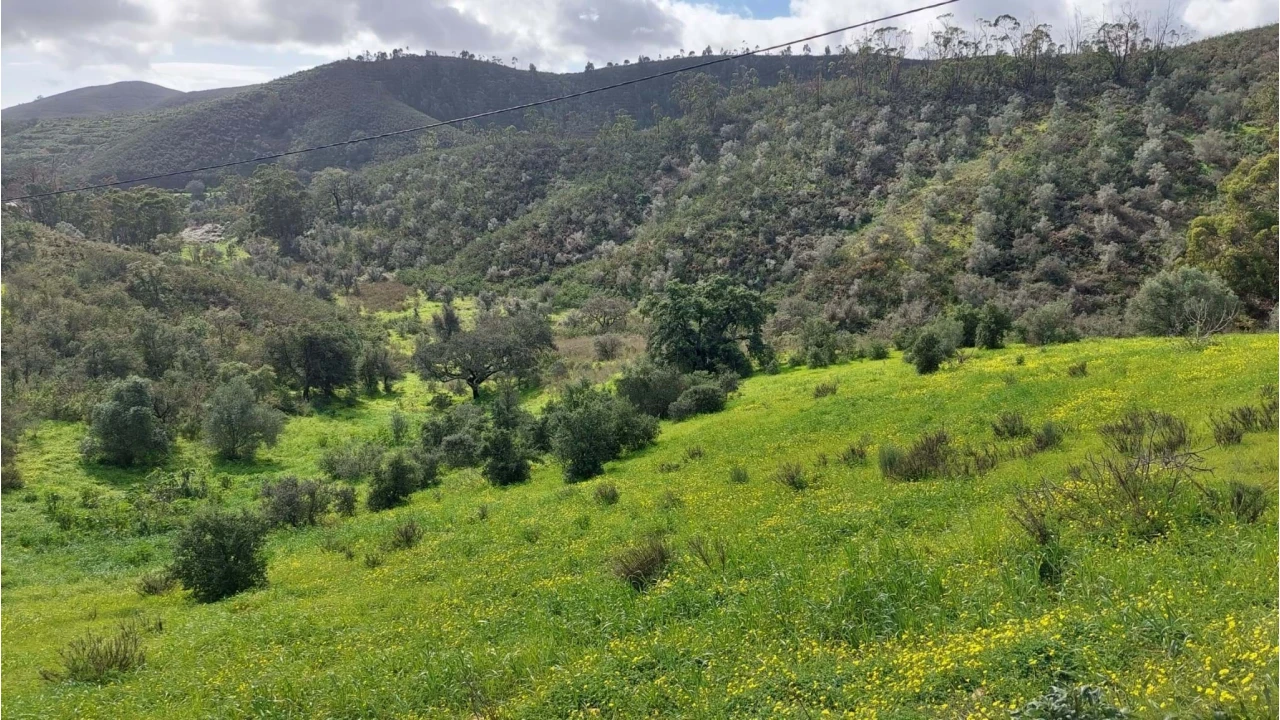 Quinta T6 para Venda em São Silvestre Foto 14