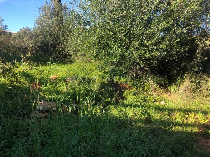 Terreno para Venda em Mexilhoeira Grande Foto 2