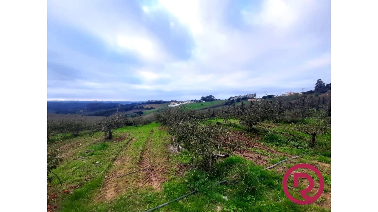 Terreno para Venda em Carvalhal Benfeito Foto 5