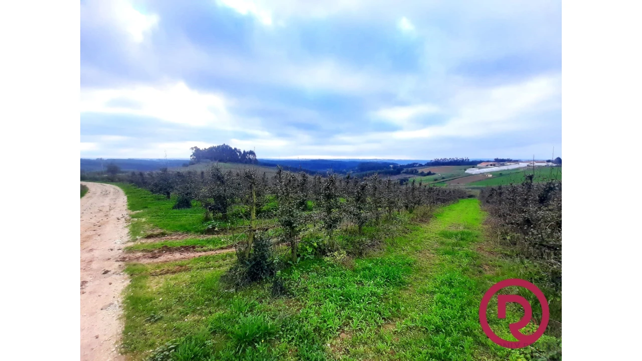 Terreno para Venda em Carvalhal Benfeito Foto 3