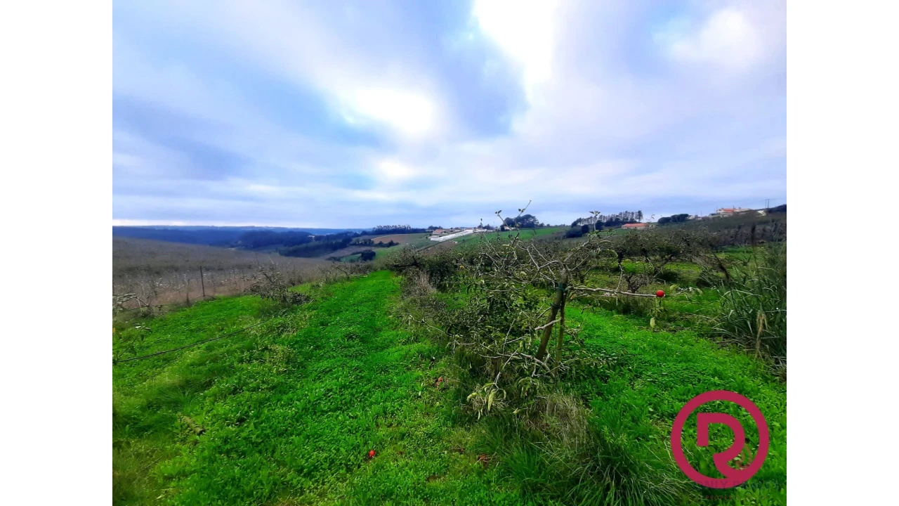 Terreno para Venda em Carvalhal Benfeito Foto 1