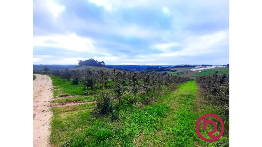 Terreno para Venda em Carvalhal Benfeito Foto 3