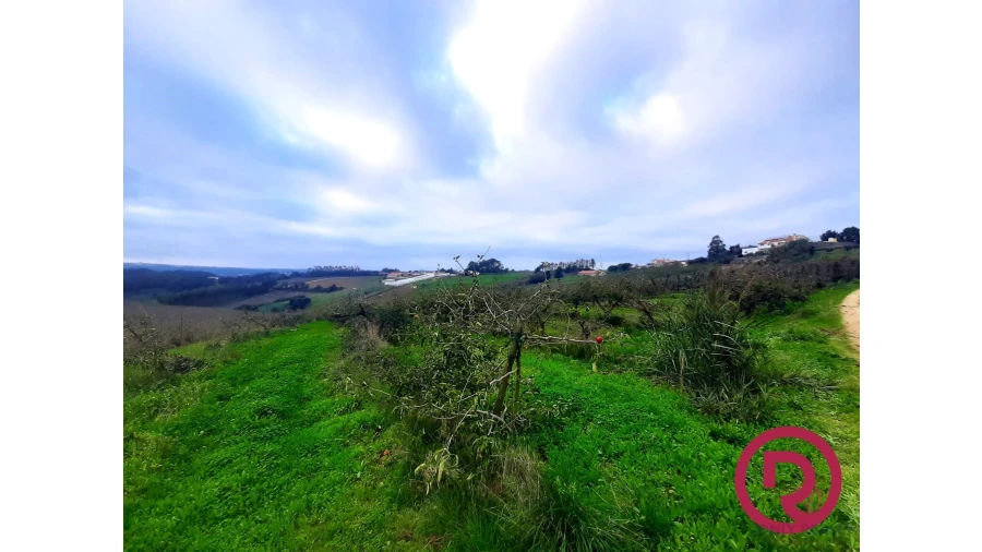 Terreno para Venda em Carvalhal Benfeito Foto 2