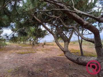 Terreno para Venda em Caldas da Rainha - Santo Onofre e Serra do Bouro