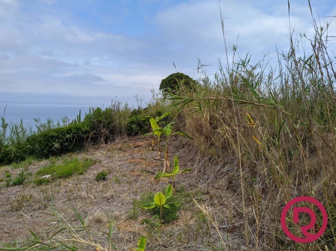 Terreno para Venda em Caldas da Rainha - Santo Onofre e Serra do Bouro Foto 3