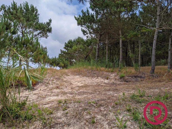 Terreno para Venda em Caldas da Rainha - Santo Onofre e Serra do Bouro Foto 5