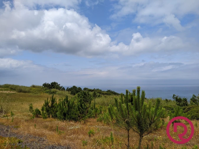 Terreno para Venda em Caldas da Rainha - Santo Onofre e Serra do Bouro Foto 11