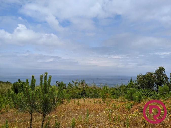 Terreno para Venda em Caldas da Rainha - Santo Onofre e Serra do Bouro Foto 9