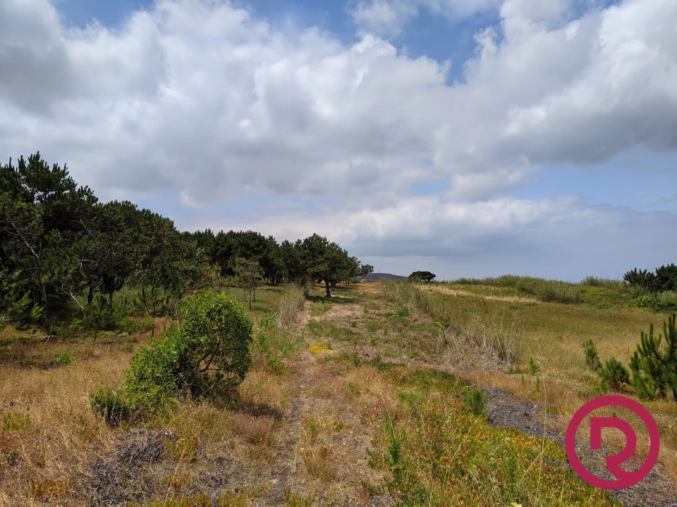 Terreno para Venda em Caldas da Rainha - Santo Onofre e Serra do Bouro Foto 10