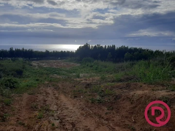 Terreno para Venda em Caldas da Rainha - Santo Onofre e Serra do Bouro
