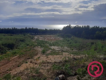 Terreno para Venda em Caldas da Rainha - Santo Onofre e Serra do Bouro
