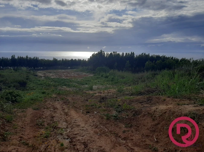 Terreno para Venda em Caldas da Rainha - Santo Onofre e Serra do Bouro Foto 2