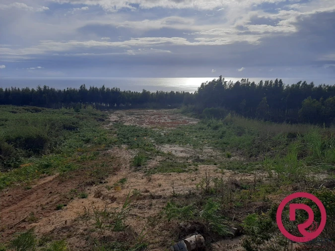 Terreno para Venda em Caldas da Rainha - Santo Onofre e Serra do Bouro