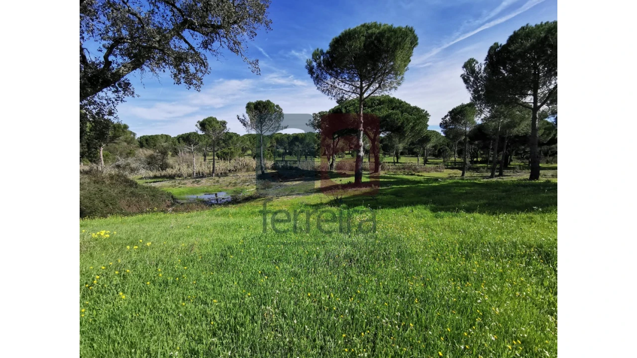 Terreno para Venda em Couço Foto 1