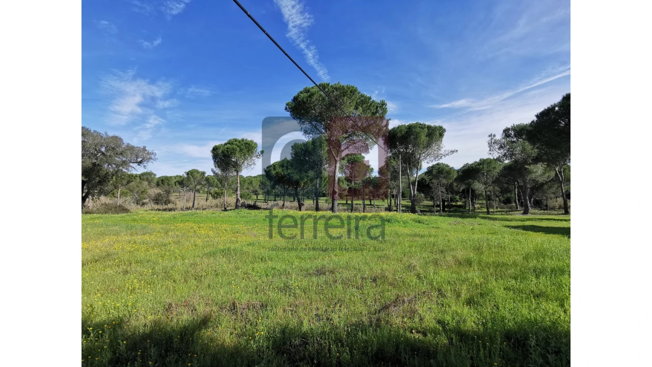 Terreno para Venda em Couço Foto 3