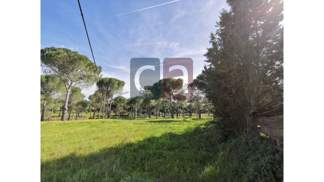 Terreno para Venda em Couço Foto 4