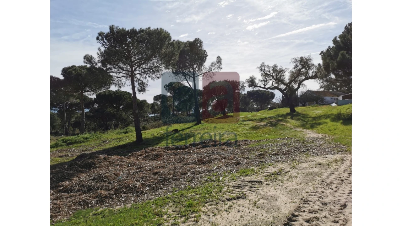 Terreno para Venda em Couço Foto 8