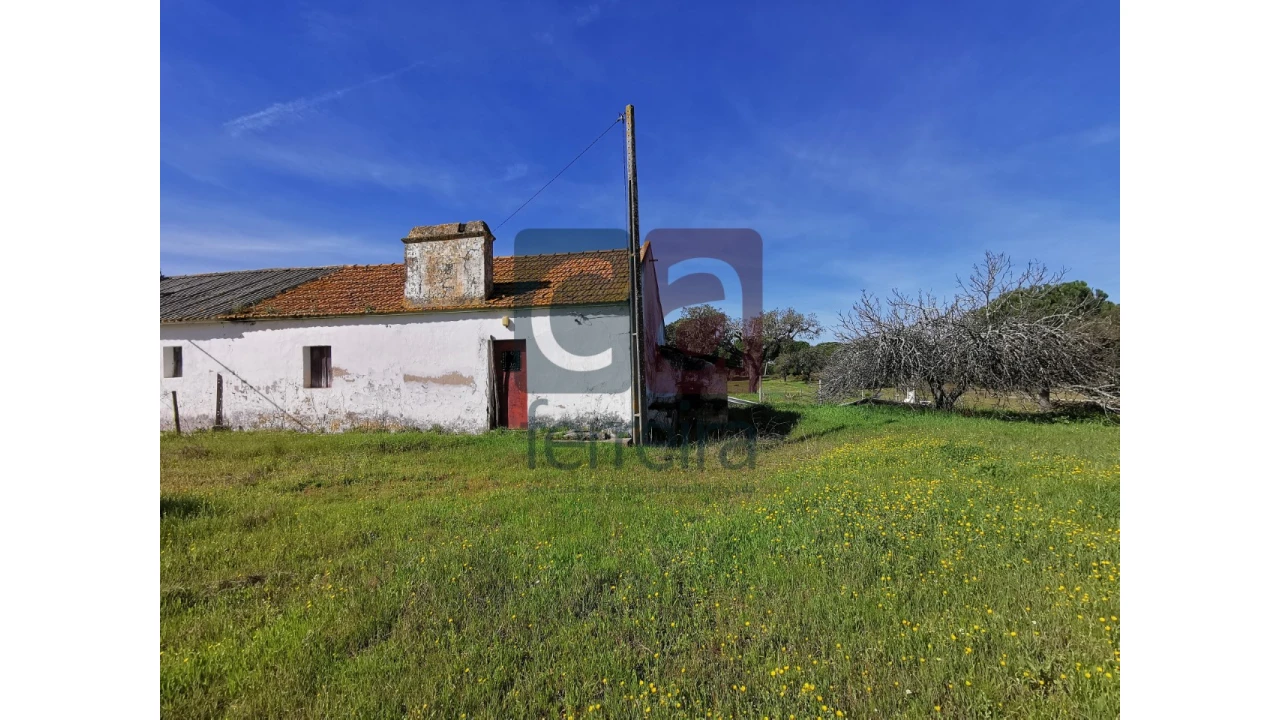 Terreno para Venda em Couço Foto 9