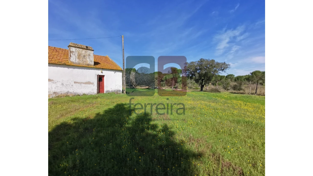 Terreno para Venda em Couço Foto 10