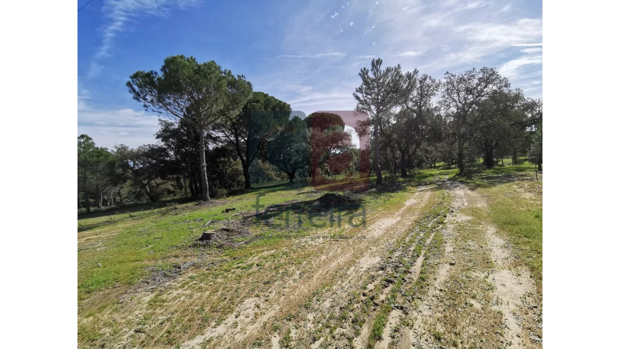 Terreno para Venda em Couço Foto 20