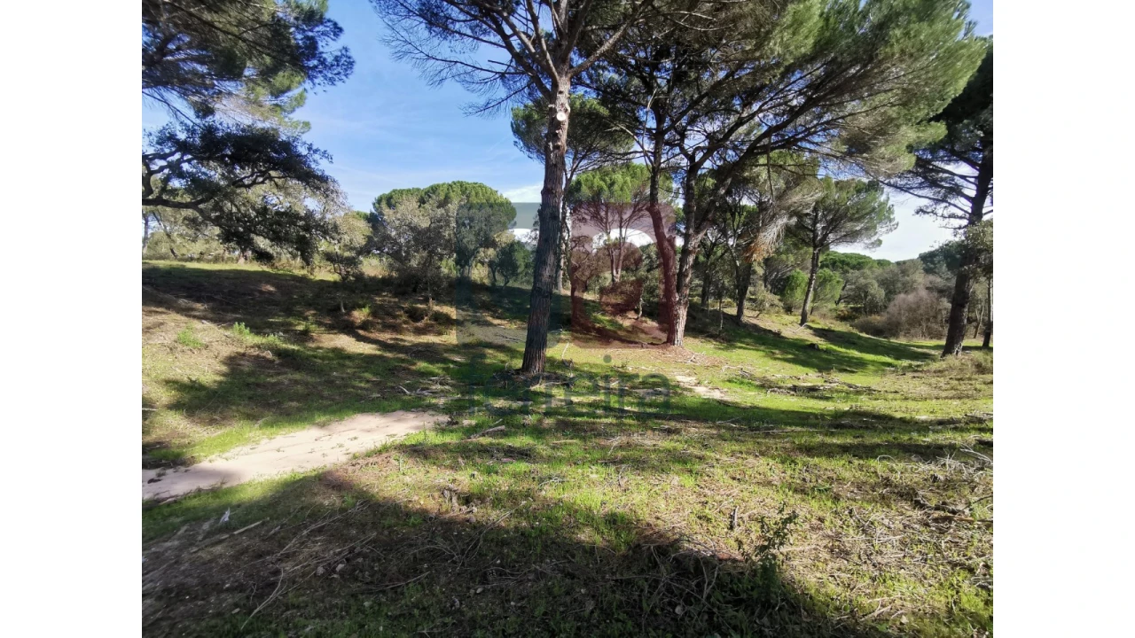 Terreno para Venda em Couço Foto 23