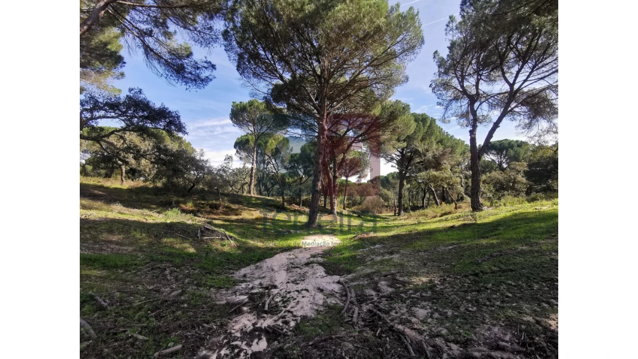 Terreno para Venda em Couço Foto 24