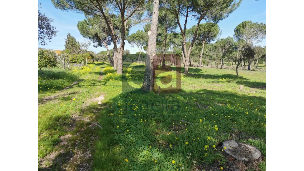 Terreno para Venda em Couço Foto 25