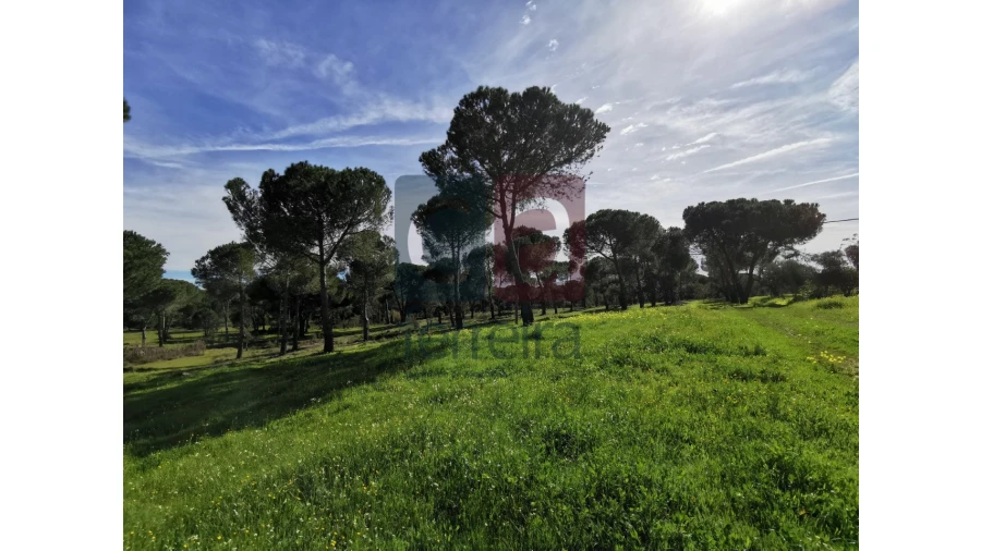 Terreno para Venda em Couço Foto 6