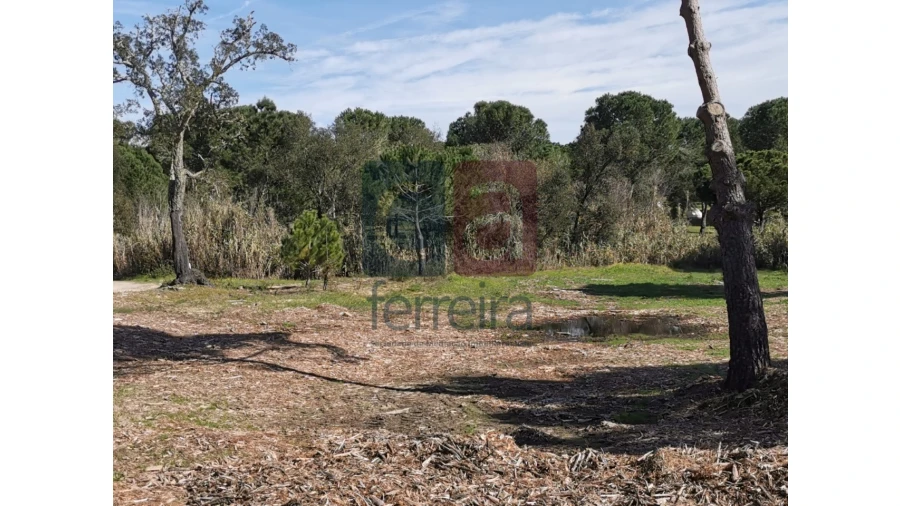 Terreno para Venda em Couço Foto 7