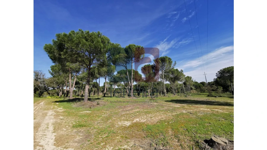 Terreno para Venda em Couço Foto 19