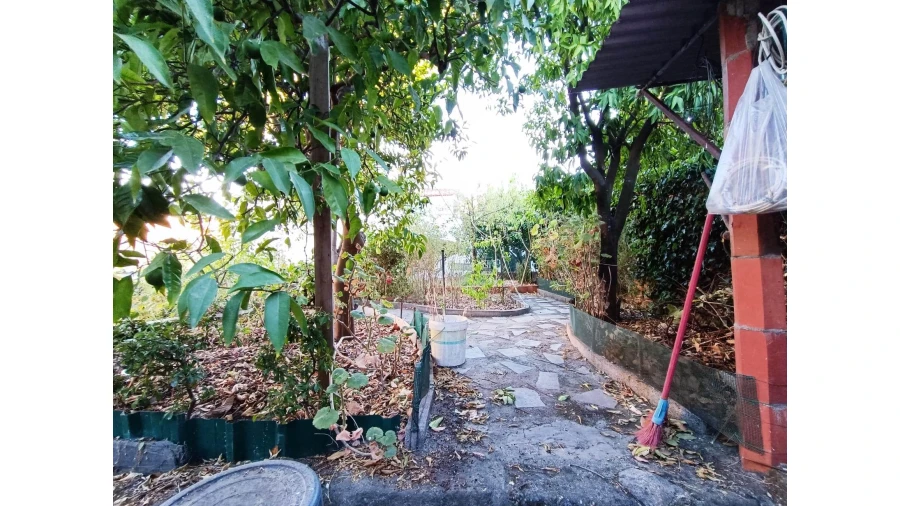 Moradia T0 para Venda em Castelo Branco Foto 5