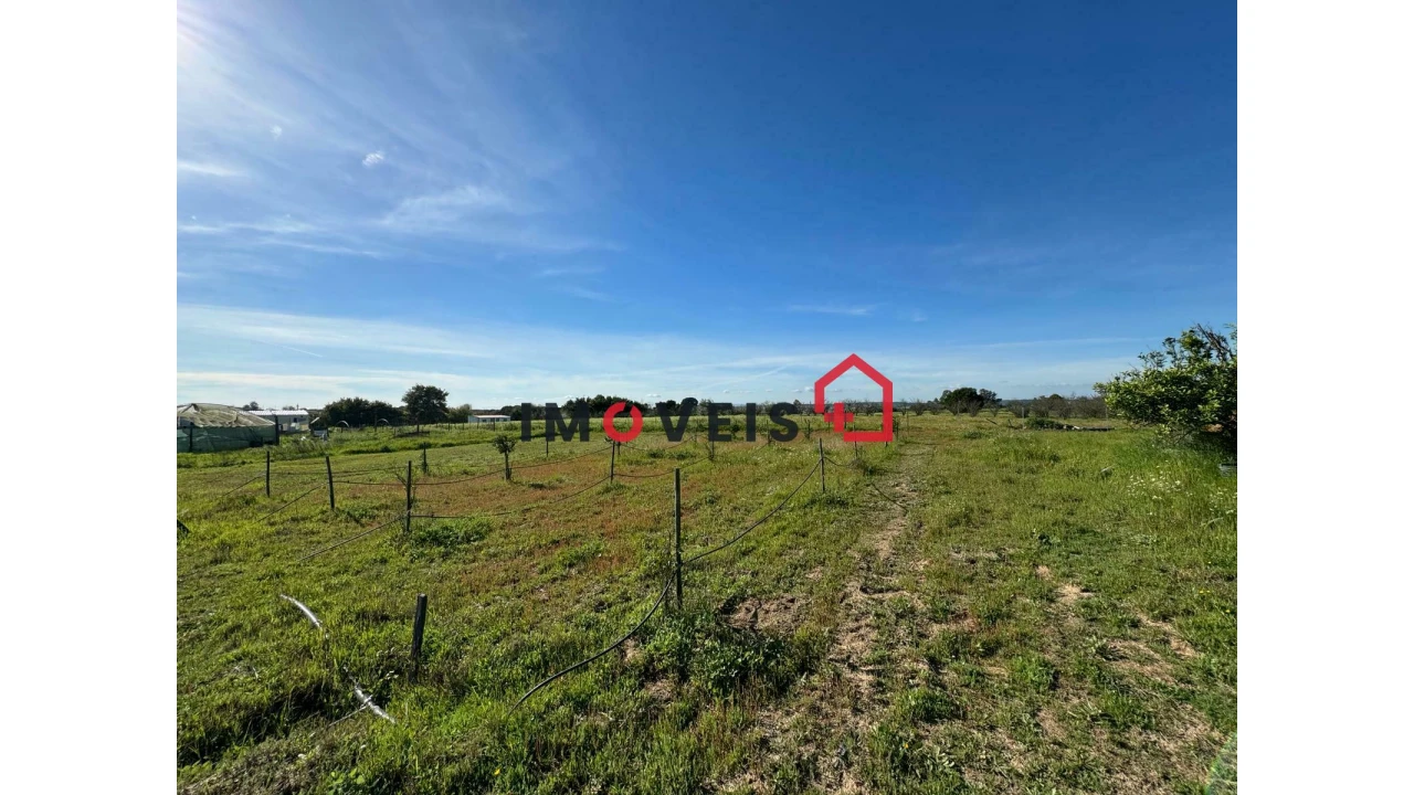 Moradia T2 para Venda em Benfica do Ribatejo Foto 14