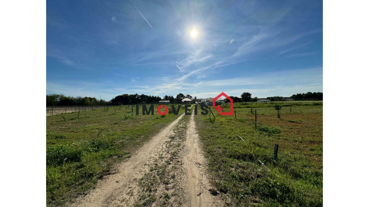 Moradia T2 para Venda em Benfica do Ribatejo Foto 19