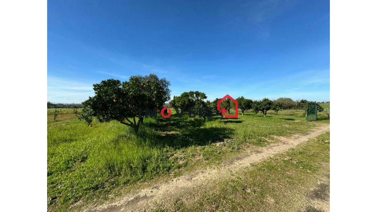 Moradia T2 para Venda em Benfica do Ribatejo Foto 18