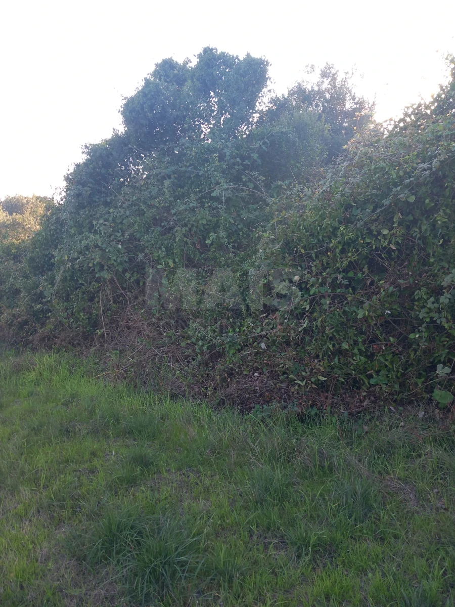 Terreno para Venda em Paialvo Foto 2