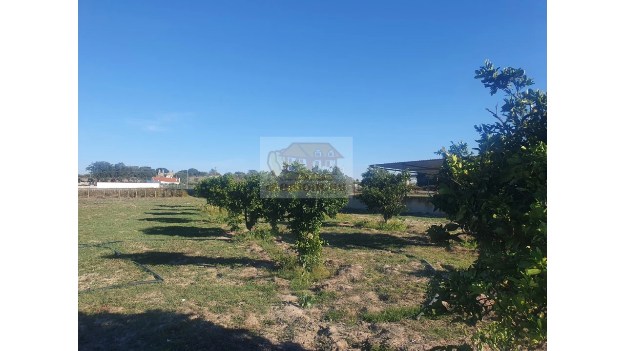 Quinta para Venda em Grândola e Santa Margarida da Serra Foto 11
