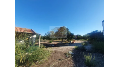 Quinta para Venda em Grândola e Santa Margarida da Serra