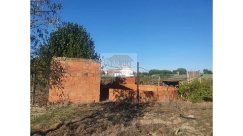 Quinta para Venda em Grândola e Santa Margarida da Serra