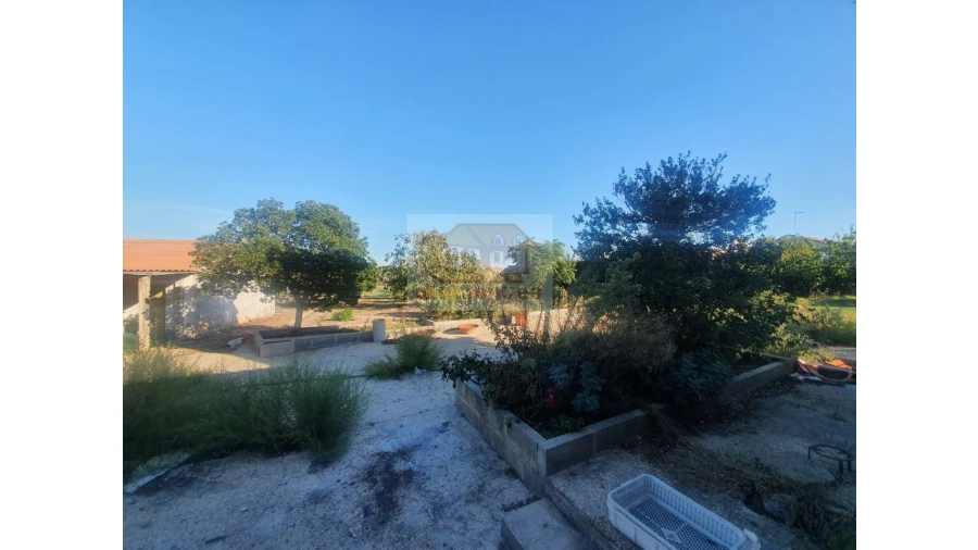 Quinta para Venda em Grândola e Santa Margarida da Serra Foto 6