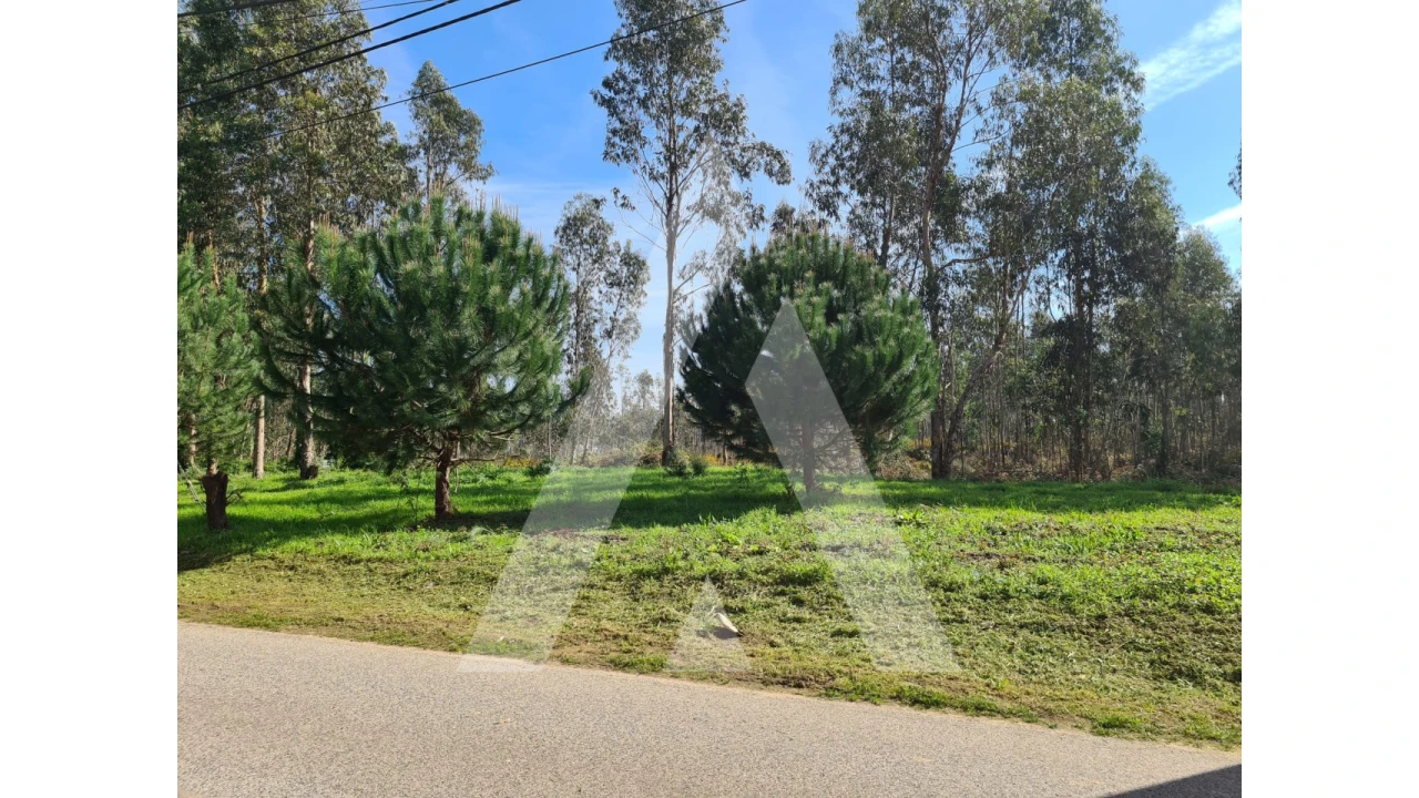 Terreno para Venda em Macinhata do Vouga Foto 6