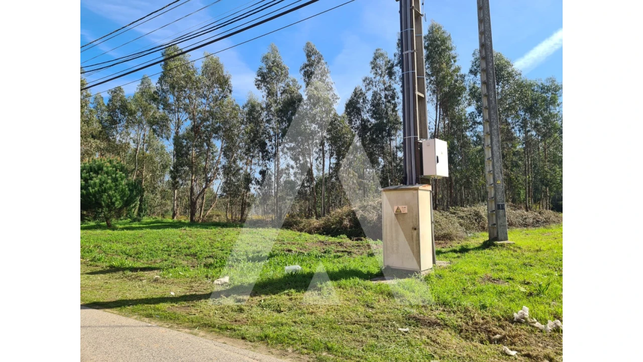 Terreno para Venda em Macinhata do Vouga Foto 12